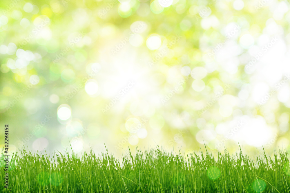 Under the bright sun. Abstract natural background with green grass and blurred bokeh background.