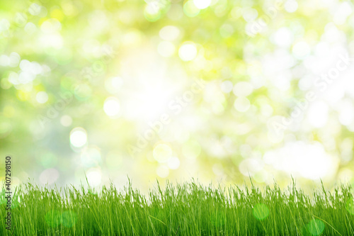 Under the bright sun. Abstract natural background with green grass and blurred bokeh background.