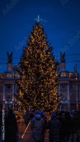 christmas tree in the city