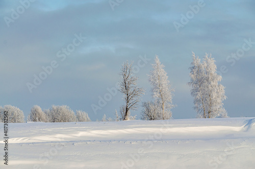 January winter landscape. Russian nature in winter
