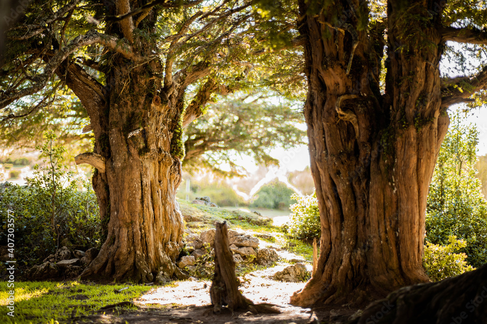 Dos Tejos a contraluz