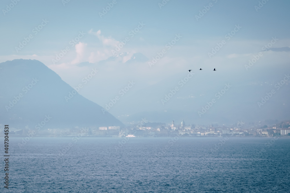 three birds fly along the lake against the background of the city of Intra