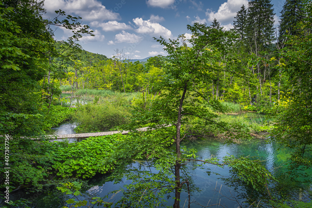 Fototapeta premium Wooden footpath leading trough green lush forest and wetlands with small turquoise lakes. Plitvice Lakes National Park UNESCO World Heritage, Croatia
