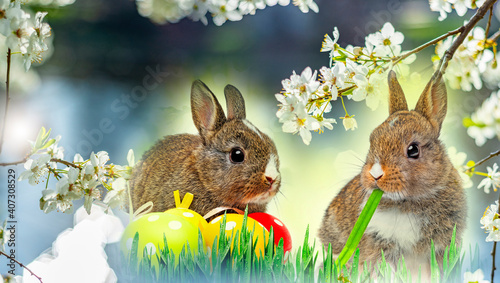 little rabbit and easter eggs © Vera Kuttelvaserova