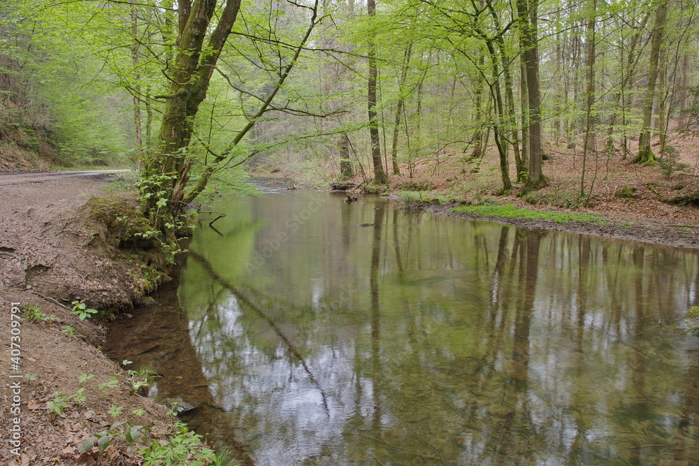 An einem Fluss läuft ein Weg vorbei und stehen viele Bäume mit frische grüne Blätter an beide Ufern. In das Wasser spiegeln sich die Bäume.