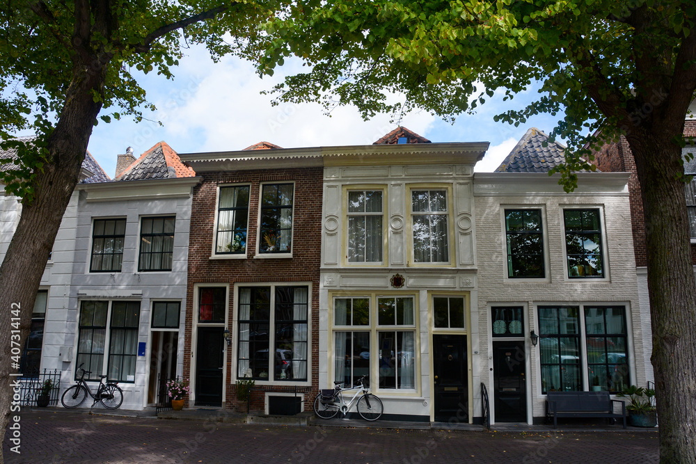 Fototapeta premium Typical house facade with a tree in ZIERIKZEE, Netherlands