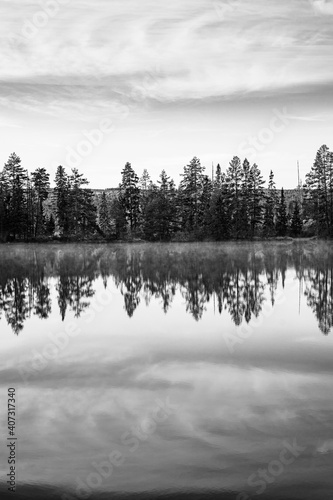 Reflections from trees in a swedish lake