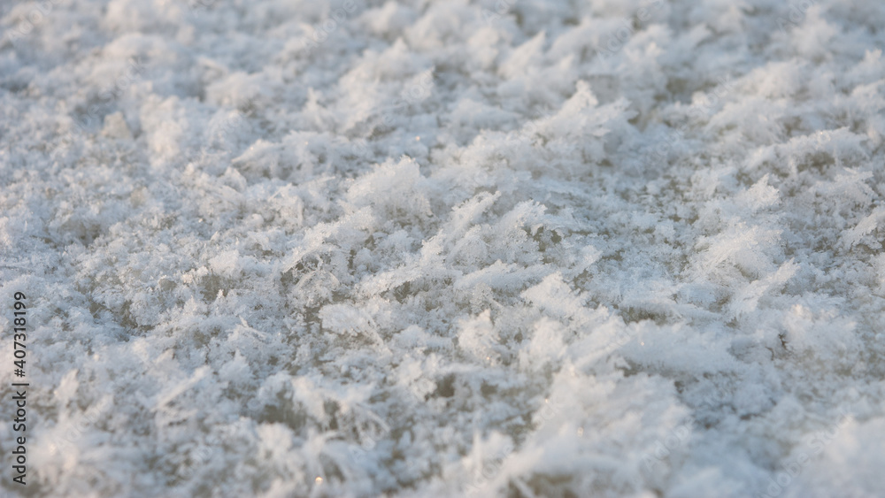 winter background. in the photo, white snowflakes on the ice in winter winter background. in the photo, white snowflakes on the ice in winter