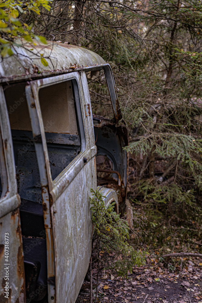 Old cars in wild nature on the car cemetery of Kyrkö Mosse in Sweden Old cars in wild nature on the car cemetery of Kyrkö Mosse in Sweden