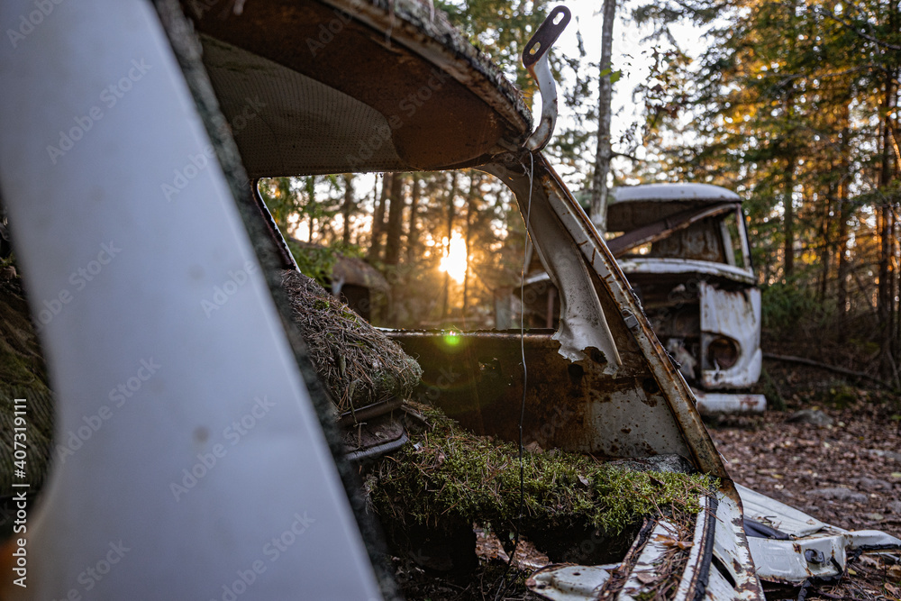 Old cars in wild nature on the car cemetery of Kyrkö Mosse in Sweden Old cars in wild nature on the car cemetery of Kyrkö Mosse in Sweden