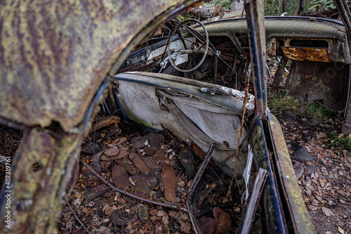 Old cars in wild nature on the car cemetery of Kyrk   Mossei in Sweden