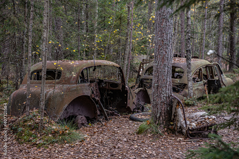 Old cars in wild nature on the car cemetery of Kyrkö Mossei in Sweden Old cars in wild nature on the car cemetery of Kyrkö Mossei in Sweden