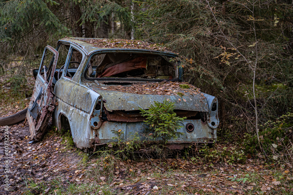 Old cars in wild nature on the car cemetery of Kyrkö Mossei in Sweden