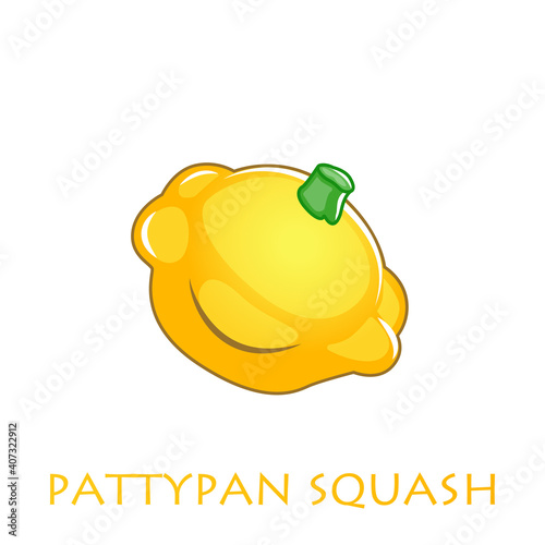 Patty pan Squash isolated on white background, vector