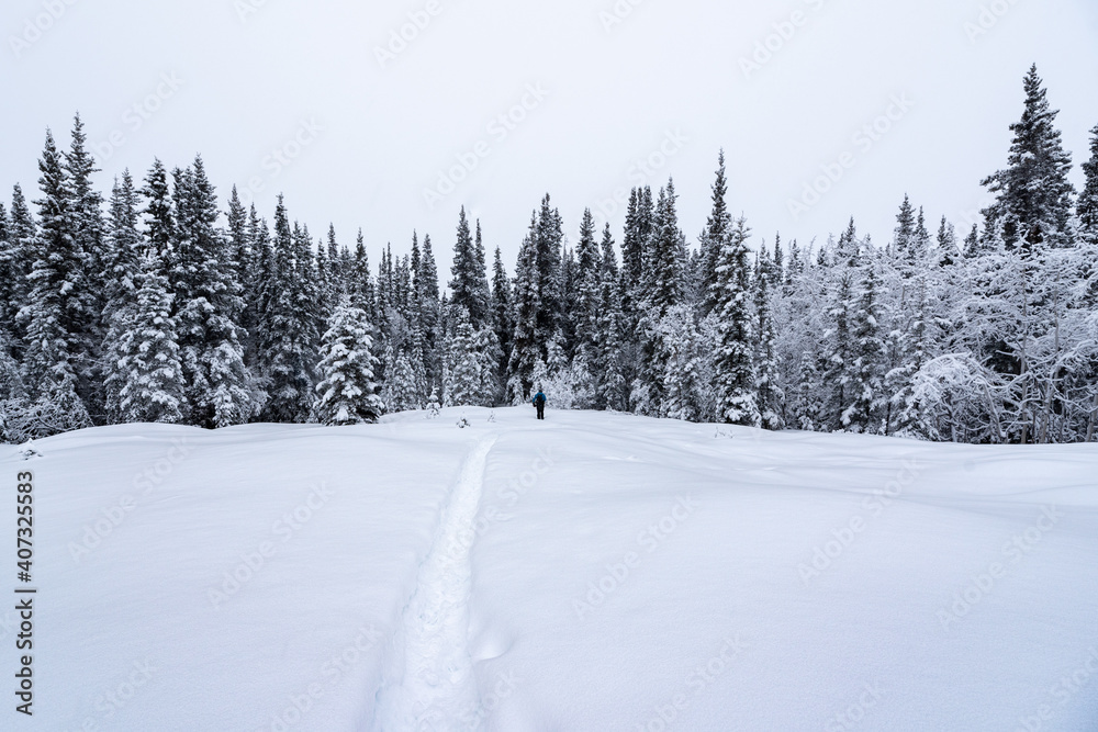 Person walking through snowy, snow covered winter wonderland landscape in northern Canada with icy trail, spruce trees and cloudy day above, Person walking through snowy, snow covered winter wonderland landscape in northern Canada with icy trail, spruce trees and cloudy day above,