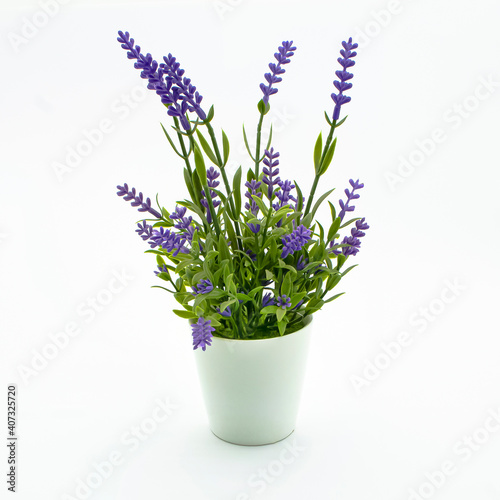 Flowerpot with decorative lavender flower on white background