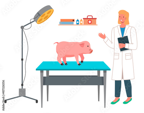 Veterinarian woman makes a pig inspection in the medical office. Doctor prescribes treatment to piggy, funny pink patient farm animal. Visit to the vet clinic to check the health of the animal