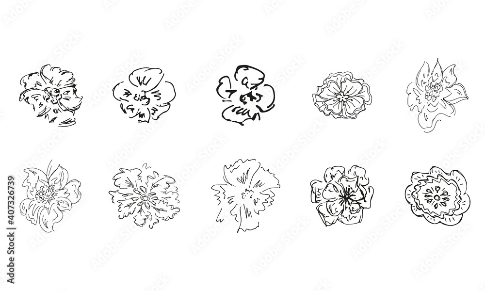 Doodle simple vector collection of 10 hand-drawn blossom wildflowers. Big collection of 10 hand-drawn roses. Big floral botanical set. Isolated on white background. Doodle simple vector collection of 10 hand-drawn blossom wildflowers. Big collection of 10 hand-drawn roses. Big floral botanical set. Isolated on white background.