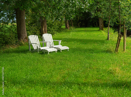 white bench in the park with green lawn and green trees