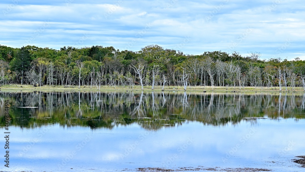 Fototapeta premium 野付半島ナラワラの晩秋の情景@根室、北海道