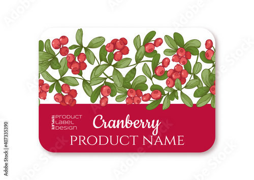 Cranberry Ripe berries. Template for product label, cosmetic packaging. Easy to edit. Graphic drawing, engraving style. Vector illustration.