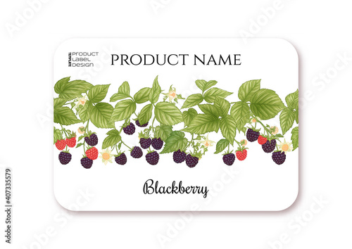 Blackberry. Ripe berries on branch. Template for product label, cosmetic packaging. Easy to edit. Graphic drawing, engraving style. Vector illustration..