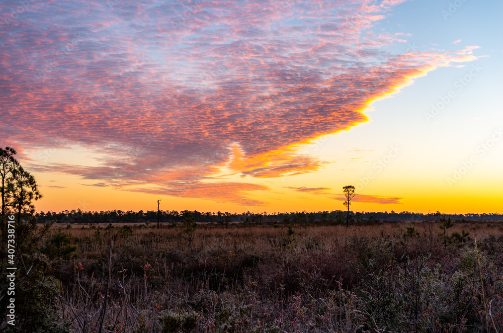 Colorful Mackerel Sky over Nature Preserve Colorful Mackerel Sky over Nature Preserve