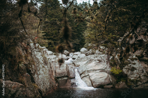 lago y una cascada en un bosque