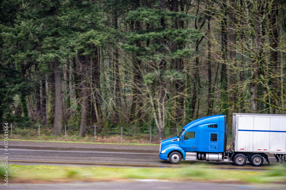 Profile of big rig blue semi truck with dry van semi trailer running on the local road with evergreen forest on the background