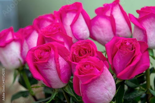A beautiful bouquet of live bright pink roses  with green leaves with thorns