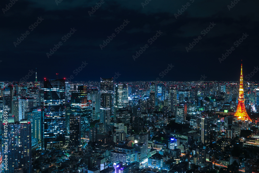 view of the city Tokyo Japan