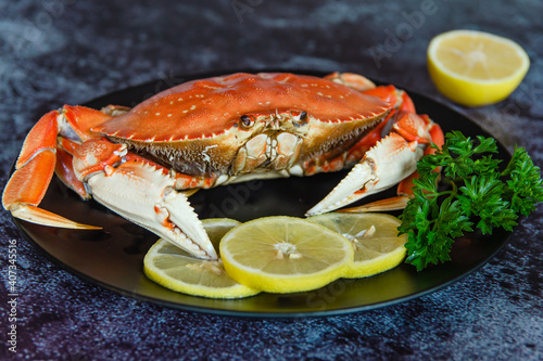 One boiled crab with lemon and parsley on a black plate.