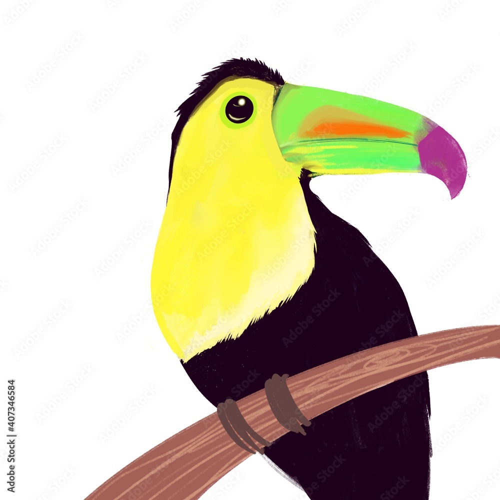 Obraz premium 南国の鳥 / 白背景のイラスト