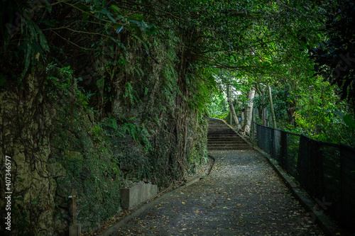 Photos 首里金城町石畳道