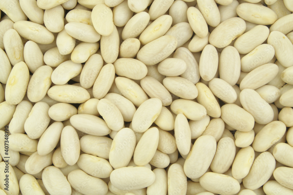 White beans background or texture White beans background or texture