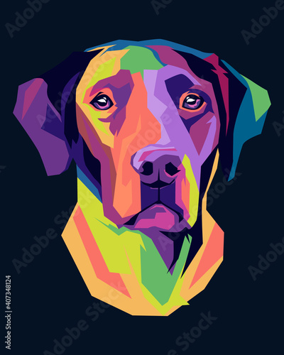 labrador retriever 