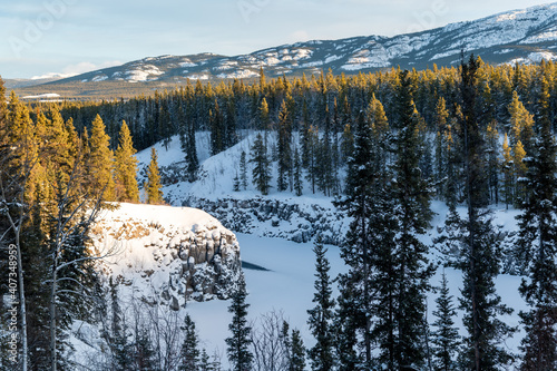 Stunning view of winter landscape in northern Canada with snow covered spruce trees, large mountains and never-ending wilderness. 