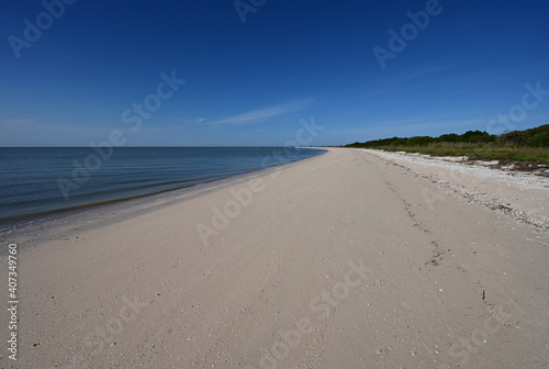 Beach at Middle Cape Sable in Everglades National Park  Florida in morning light in winter.