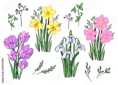 Set of bouquets of spring flowers. Line art. Vector graphics. Isolated elements.