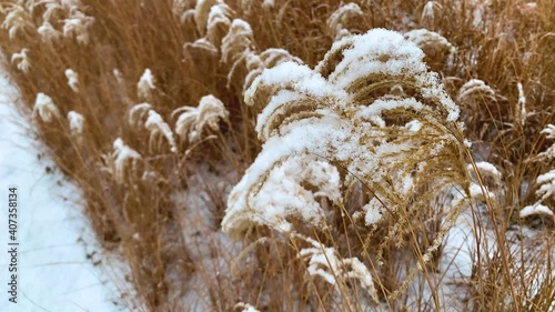 Winter in seoul(서울의 겨울) photo