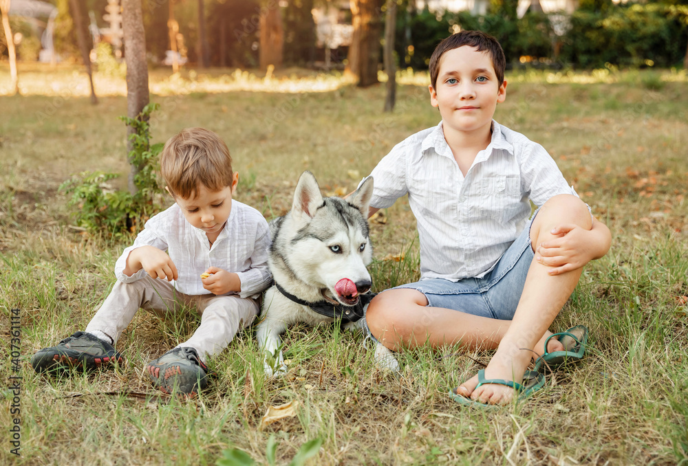 Obraz premium Cute children with dog walking in the park on sunny summer day. Dog and funny kids enjoying together outdoors. Happy young boys lovingly hugging his pet dog at sunset. Veterinary medicine, animal care