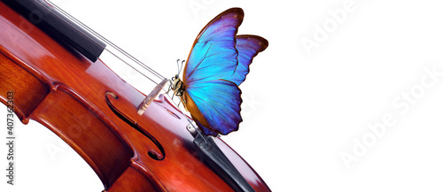 Fotografie, Obraz violin isolated on white close up