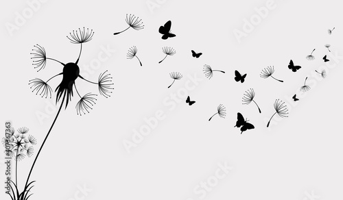 Dandelion with flying butterflies and seeds, vector illustration