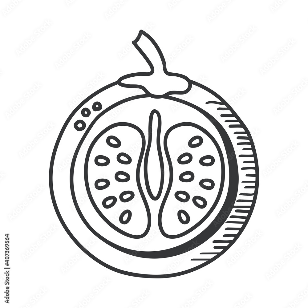 tomato vegetable hand draw and line style icon vector design tomato vegetable hand draw and line style icon vector design