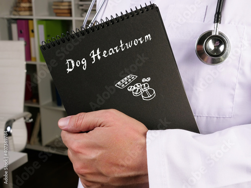Health care concept about Dog Heartworm with sign on the piece of paper.