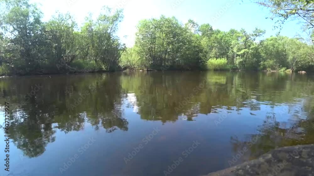 On the bank of a small river On the bank of a small river