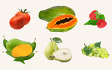 realistic vector of fruits