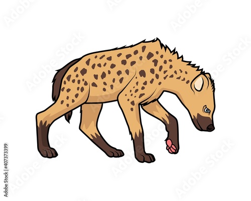 Fototapeta Naklejka Na Ścianę i Meble -  Hyena cartoon animal vector illustration 2