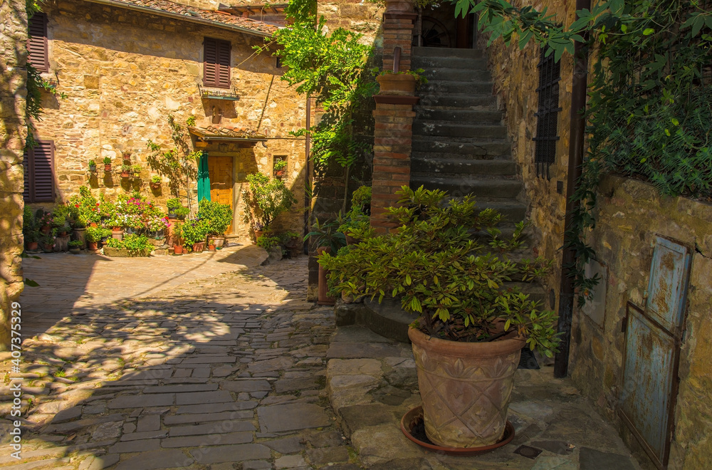 Fototapeta premium Residential buildings in the historic medieval village of Montefioralle near Greve in Chianti in Florence province, Tuscany, Italy 