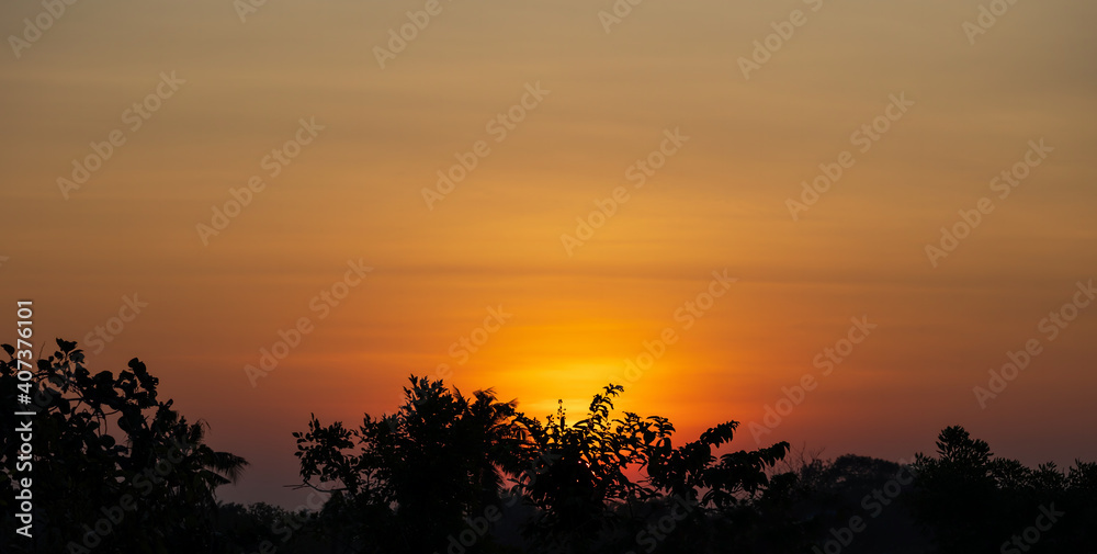 silhouette trees with fog and smoke during sunrise